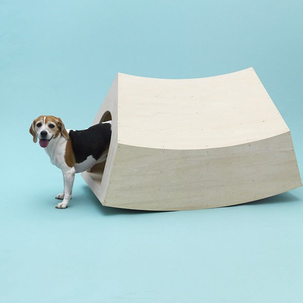 Starchitects Design for Dogs