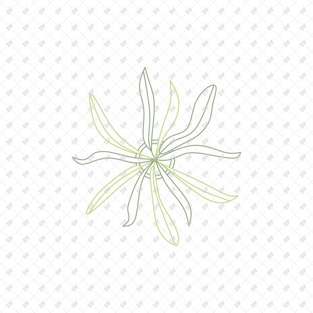CAD Vector Line-Art Plants, Trees in Planters (Top View)