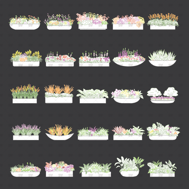 CAD, Vector, PNG Urban Plants in Planters in Color and B/W