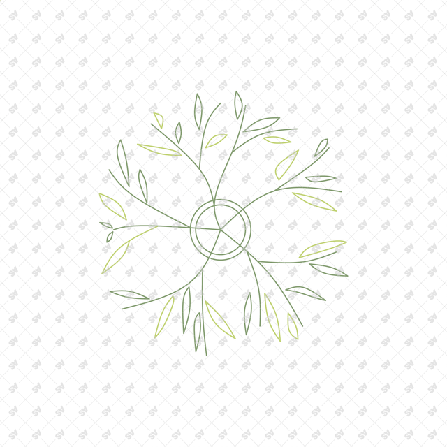 CAD Vector Line-Art Plants, Trees in Planters (Top View)