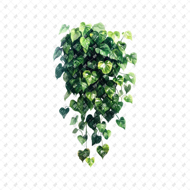 PNG Watercolor Plants