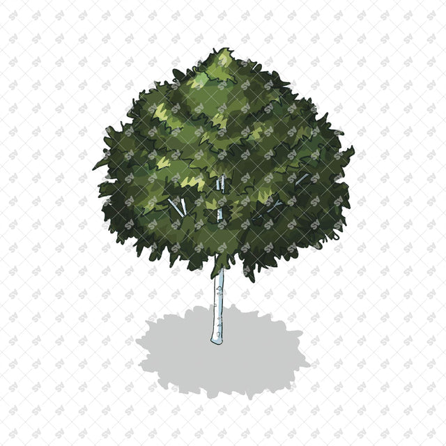Isometric Hand Drawn Trees
