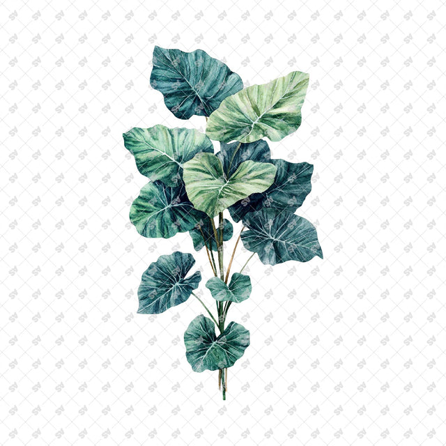 PNG Watercolor Plants