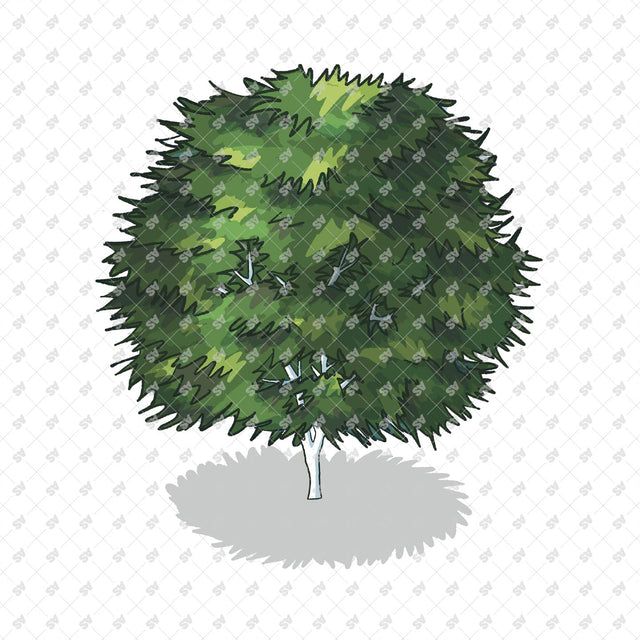 Isometric Hand Drawn Trees