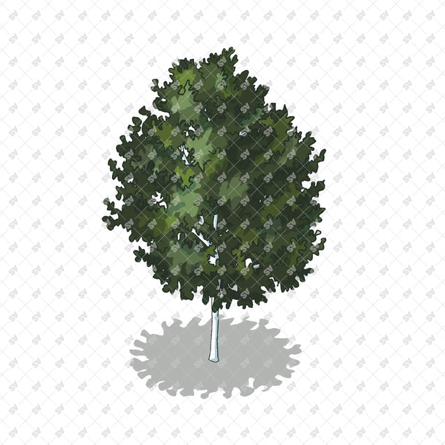 Isometric Hand Drawn Trees