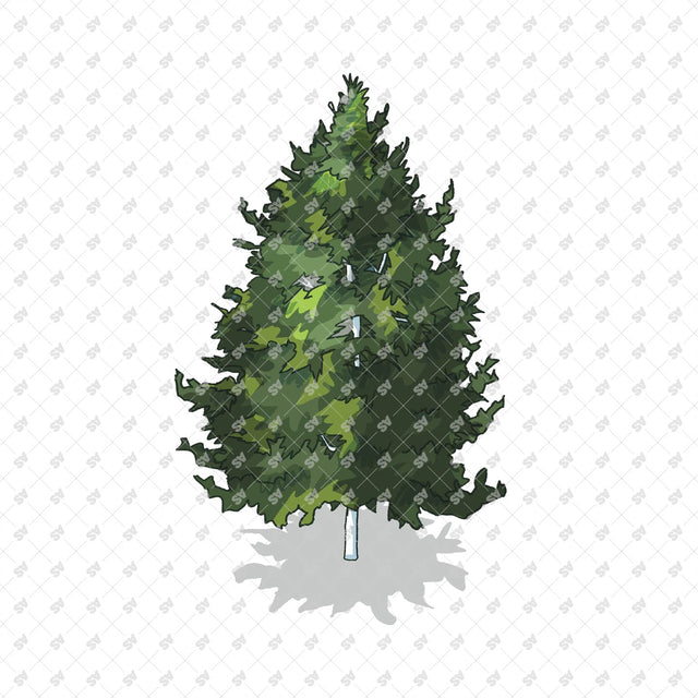 Isometric Hand Drawn Trees