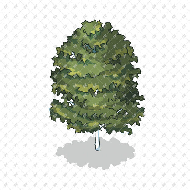 Isometric Hand Drawn Trees