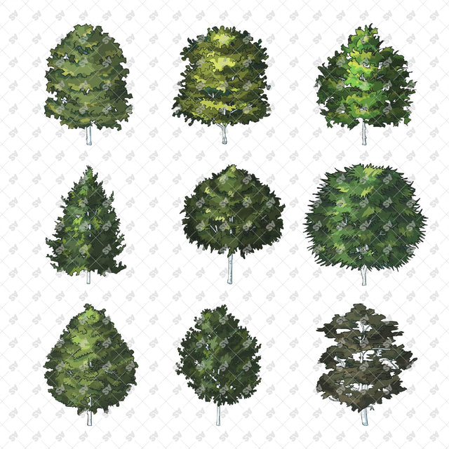 Isometric Hand Drawn Trees