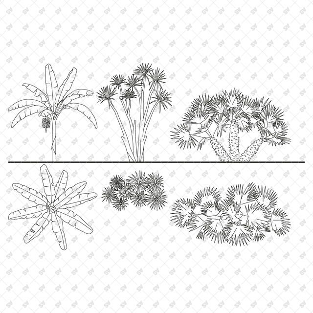 CAD, Vector Tropical Plants Set - Top + Side view