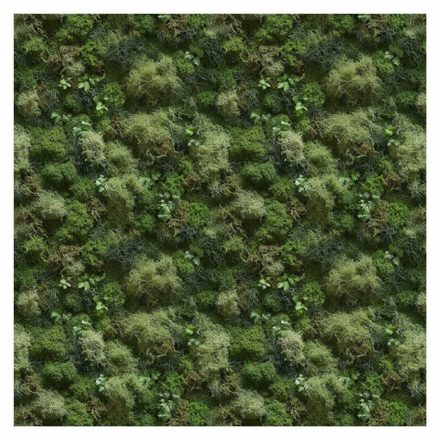 Pattern Library - Seamless Moss Textures