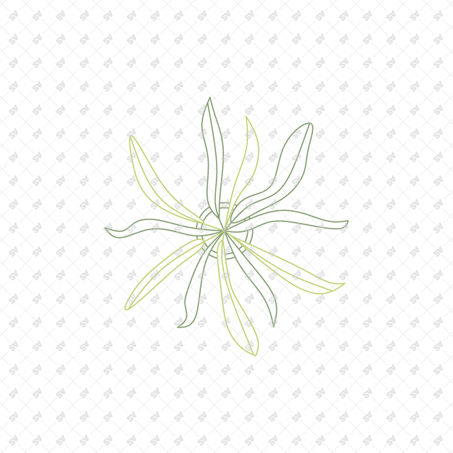 CAD Vector Line-Art Plants, Trees in Planters (Top View)