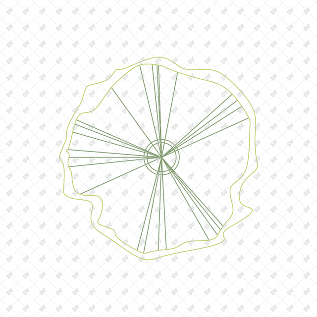 CAD Vector Line-Art Plants, Trees in Planters (Top View)