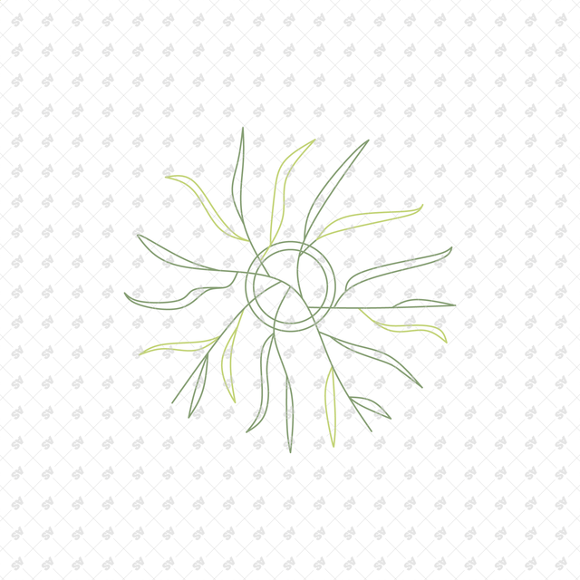 CAD Vector Line-Art Plants, Trees in Planters (Top View)