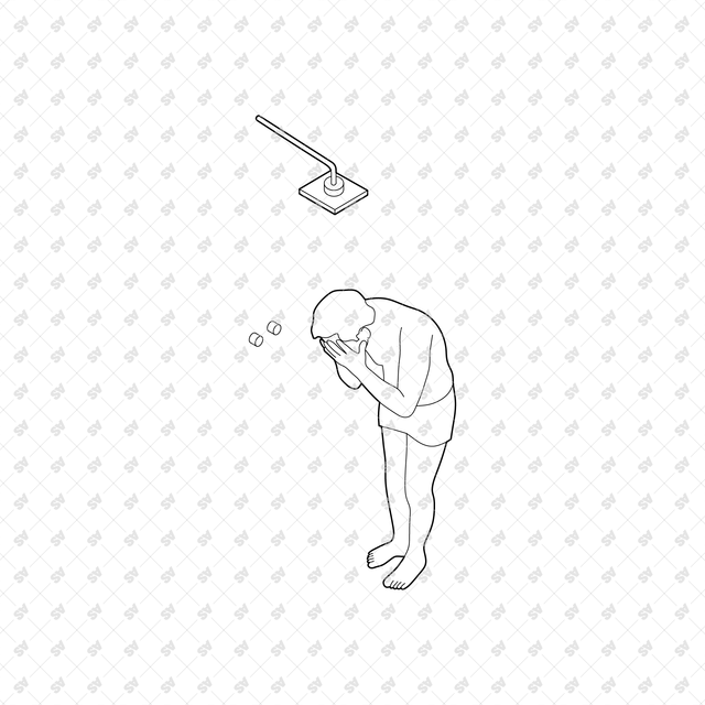 CAD, Vector, PNG Isometric View Shower Users