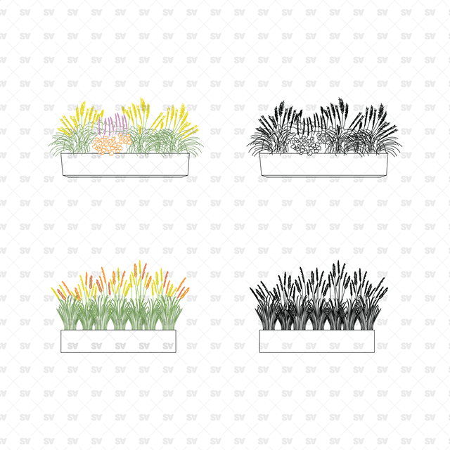CAD, Vector, PNG Urban Plants in Planters in Color and B/W