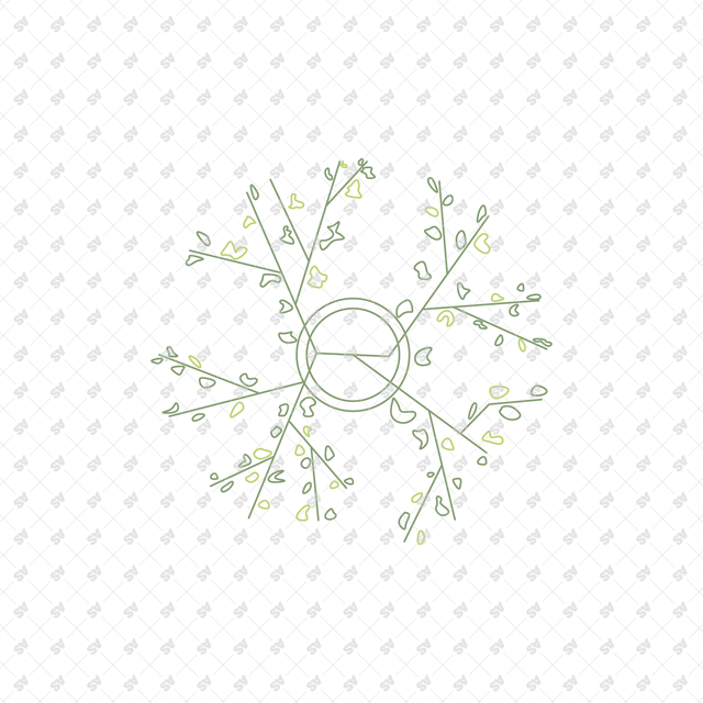 CAD Vector Line-Art Plants, Trees in Planters (Top View)