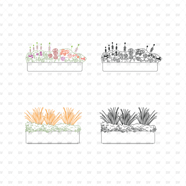 CAD, Vector, PNG Urban Plants in Planters in Color and B/W
