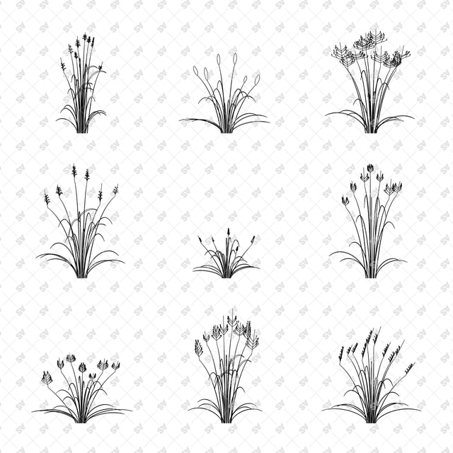 Sculptural grasses in front view - Catalogue