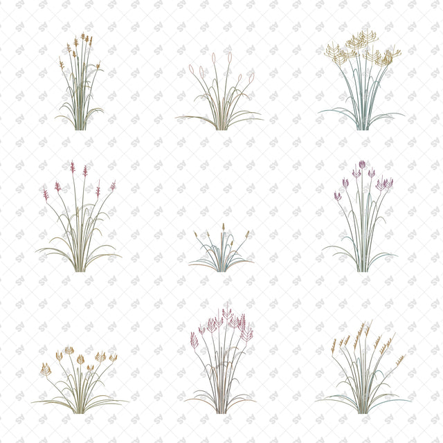 Sculptural grasses in front view - Colour Catalogue