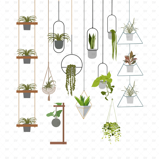 vector plants