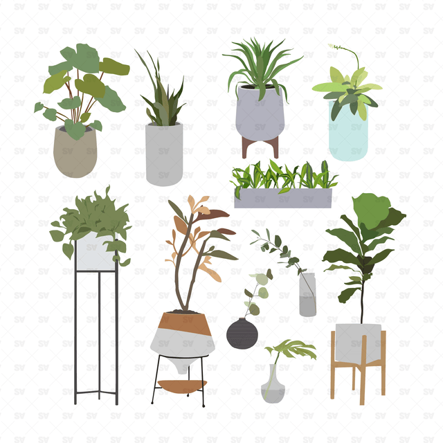 vector plants illustration