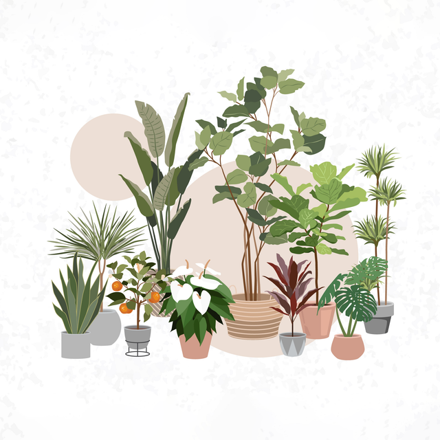flat vector plants png