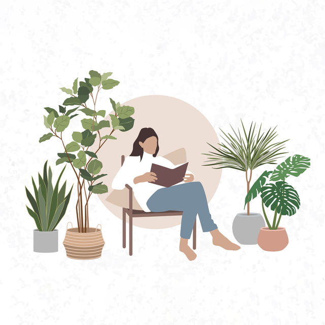 flat vector plants png