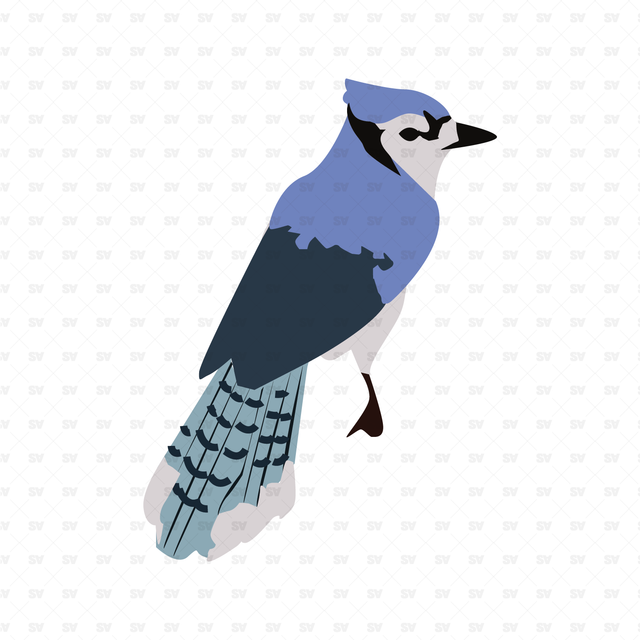 Vector Birds Pack (19 Figures)