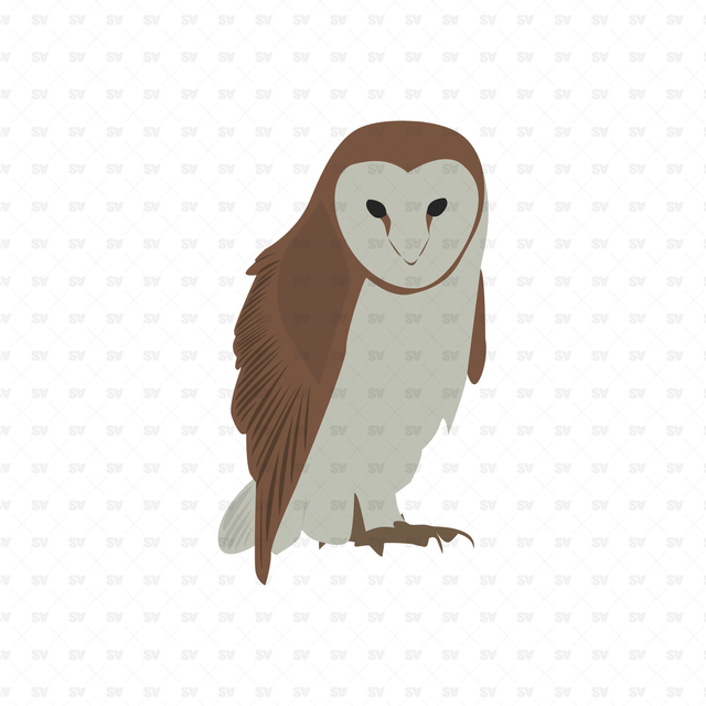 Vector Birds Pack (19 Figures)