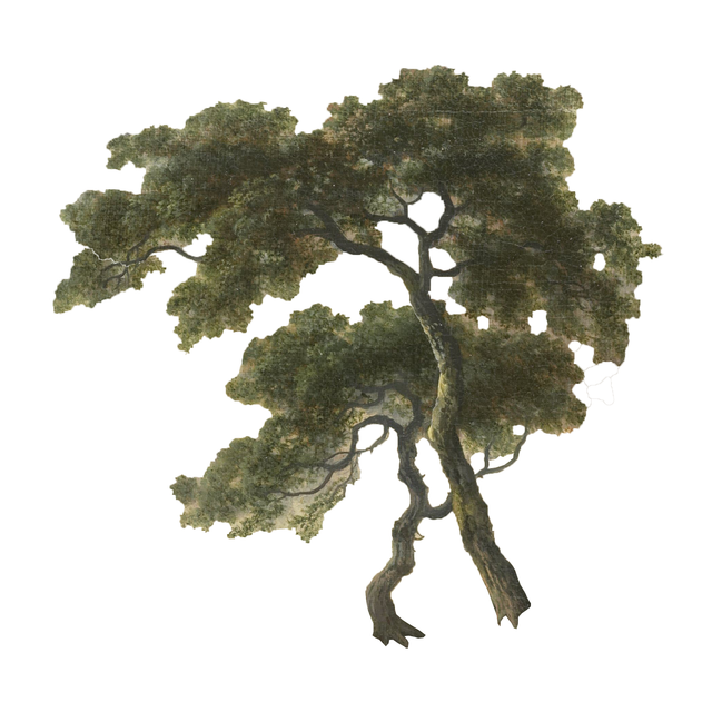 Vegetation Cutouts (45 PNGs)-Cutouts-Studio Alternativi