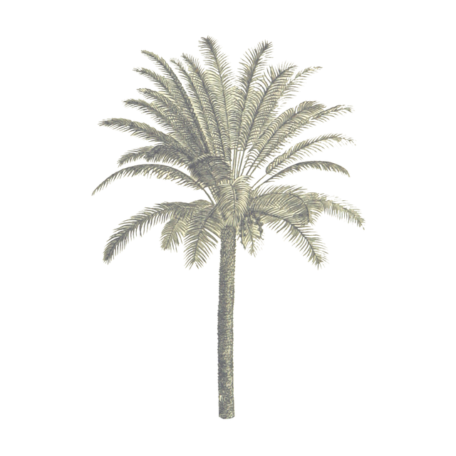 Vegetation Cutouts (45 PNGs)-Cutouts-Studio Alternativi