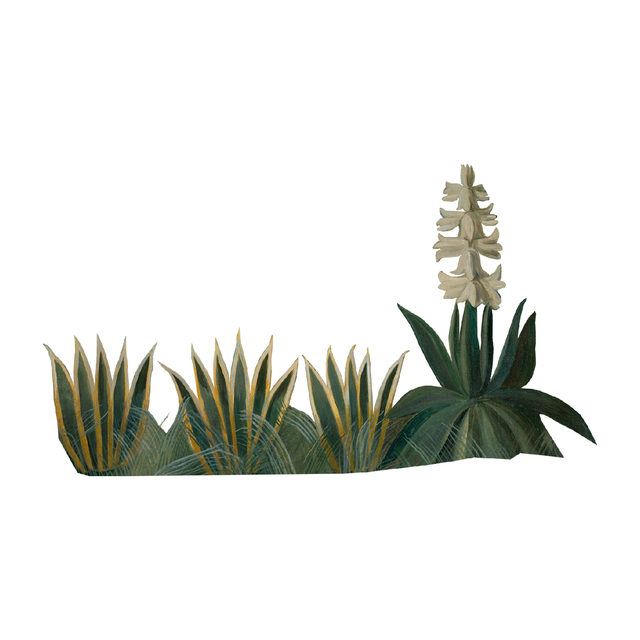 Vegetation Cutouts (45 PNGs)-Cutouts-Studio Alternativi
