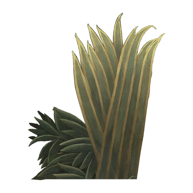 Vegetation Cutouts (45 PNGs)-Cutouts-Studio Alternativi