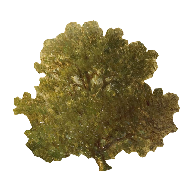 Vegetation Cutouts (45 PNGs)-Cutouts-Studio Alternativi