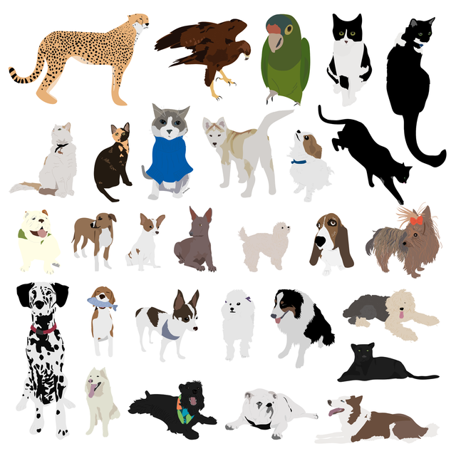 animal vector illustration flat 