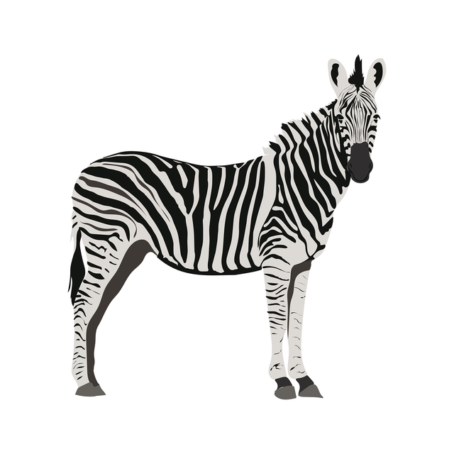 vector zebra download