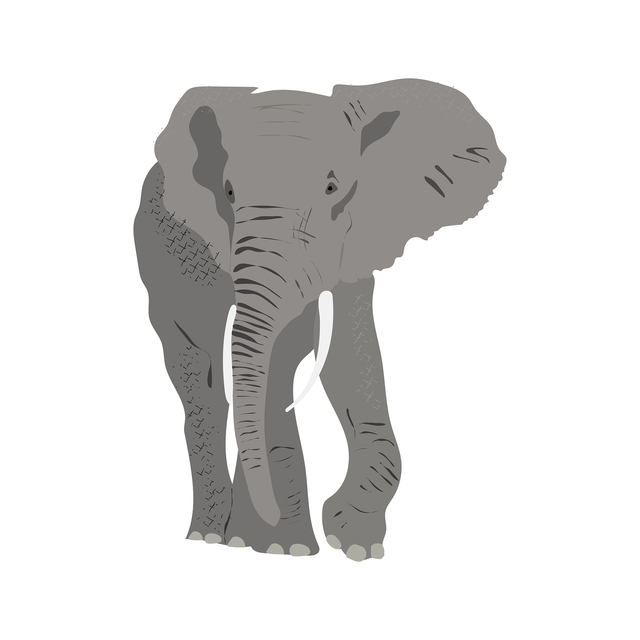 vector elephant download