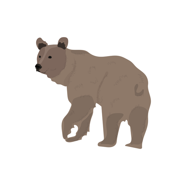 vector bear download