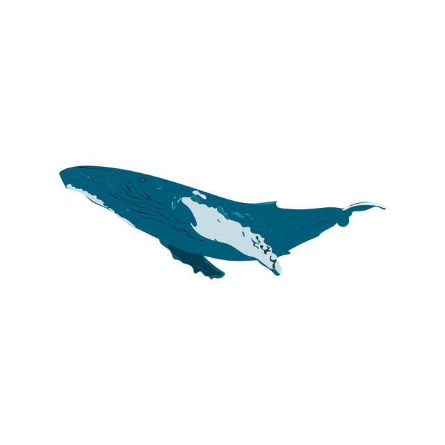 vector whale download