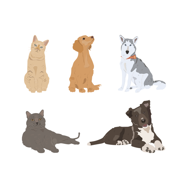 vector cat dog download free