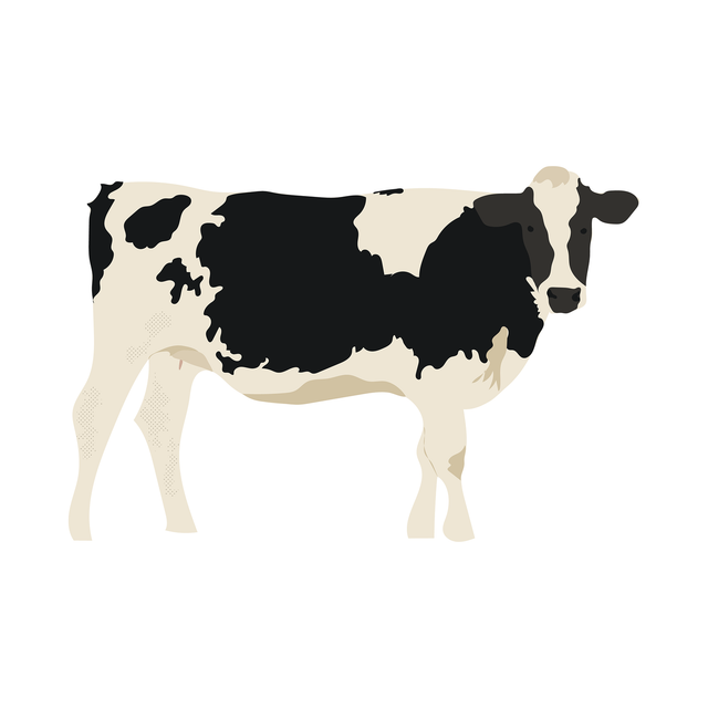 vector cow free download