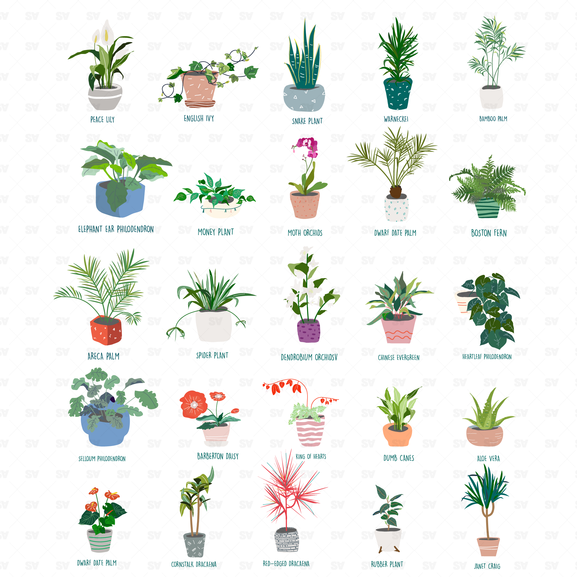 house plants nasa 25 NASA-Approved Air Purifying Plants – Studio Alternativi