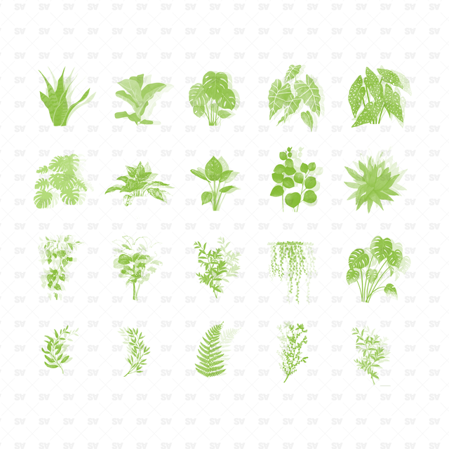 Botanical Plant Brush Photoshop Brushes