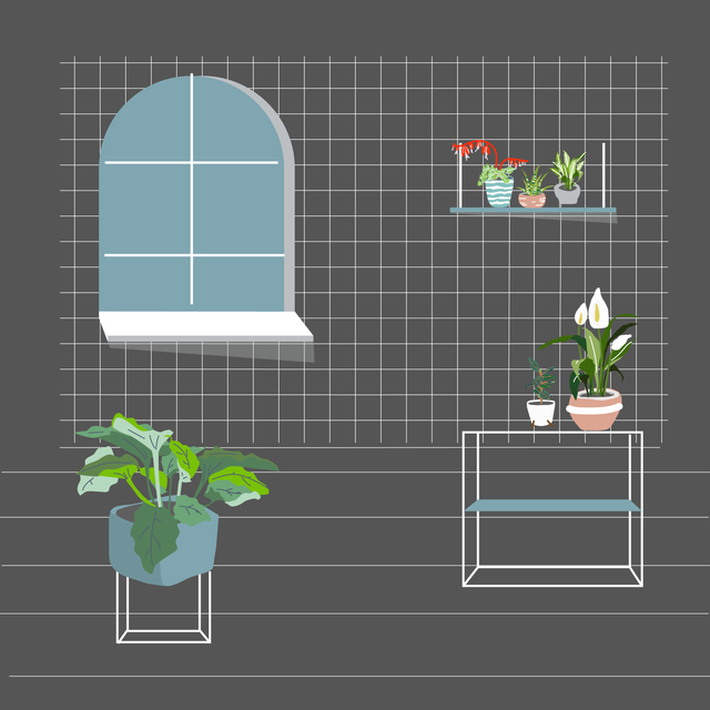 25 Interior Purifying Plants Announced by NASA