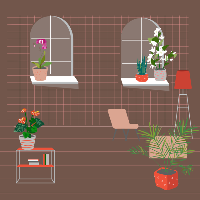 25 Interior Purifying Plants Announced by NASA