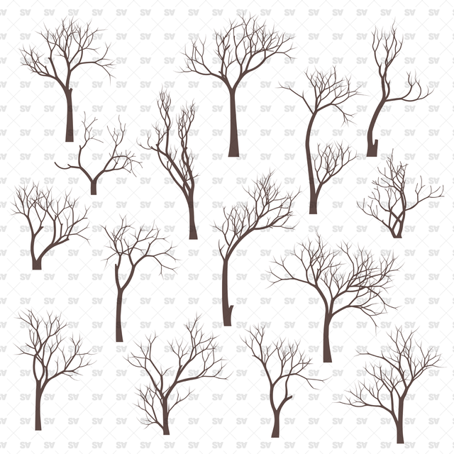 Flat Vector Bare Trees (+PNGs)