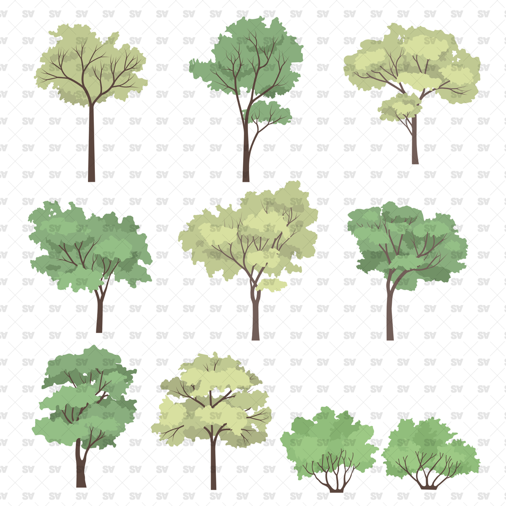 Flat Vector Watercolor Trees (+PNGs), Download AI & PNG