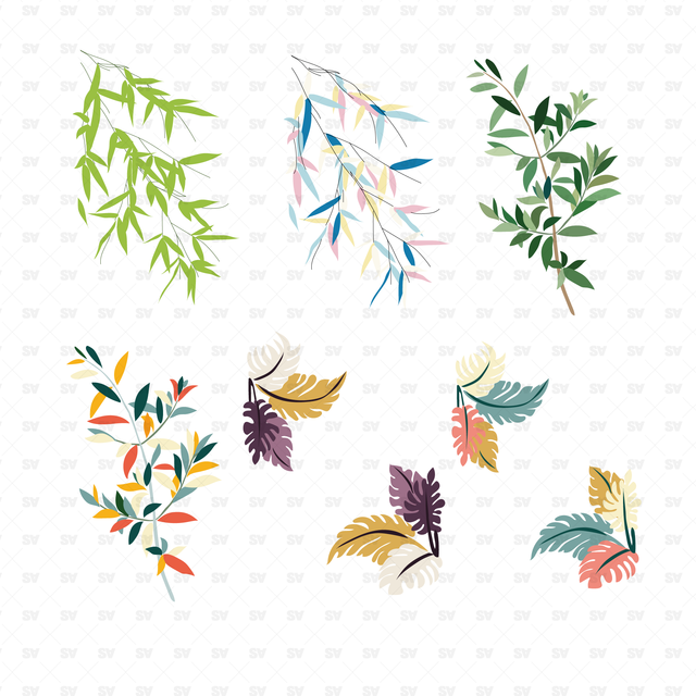 indoor plants vector