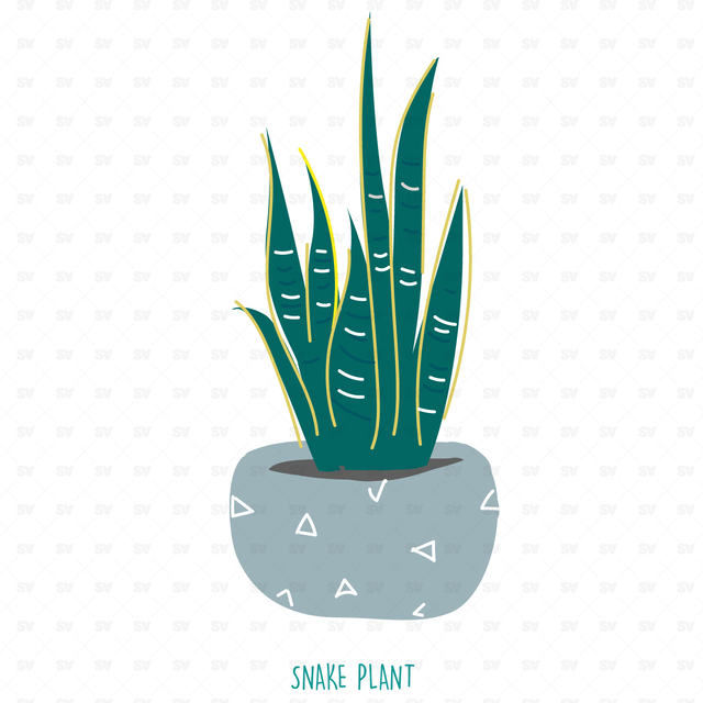 25 Interior Purifying Plants Announced by NASA