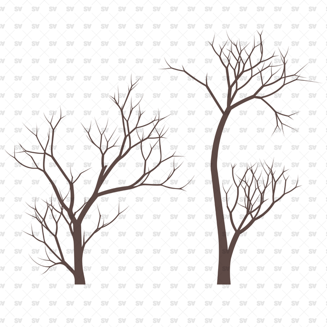 Flat Vector Bare Trees (+PNGs)